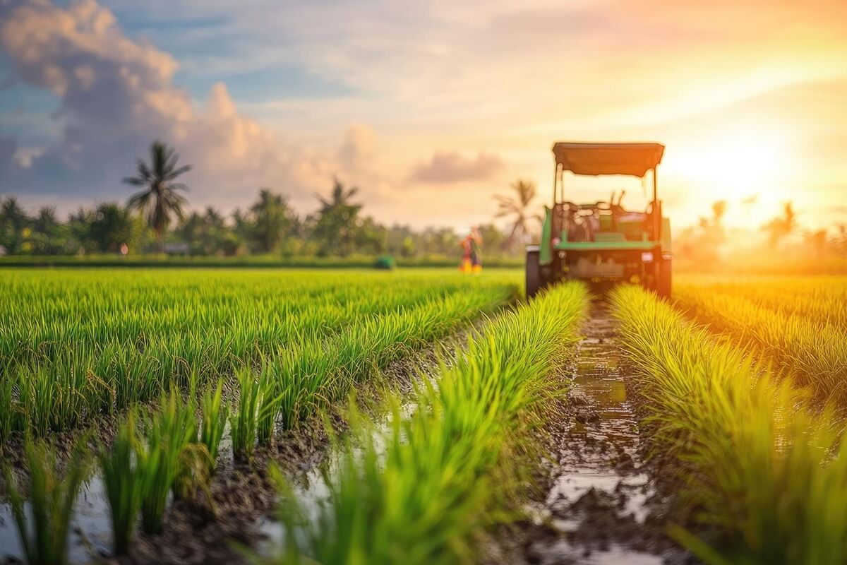 Organic Fertilizer Production